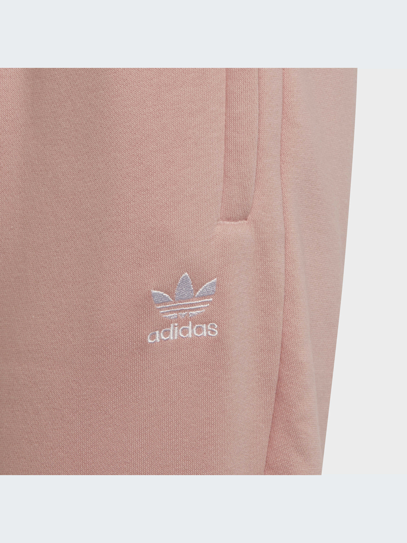 Брюки Adidas Adicolor модель HD2056-KZ Фото
