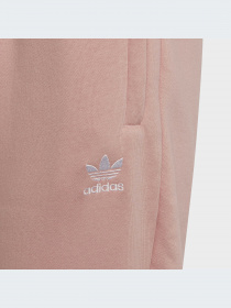 Брюки Adidas Adicolor модель HD2056-KZ Фото