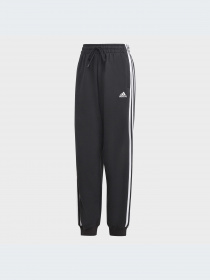 Брюки Adidas модель HA4375-KZ Фото