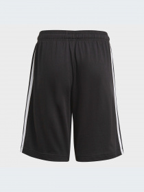 Шорты Adidas модель GN4007-KZ Фото