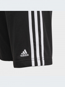 Шорты Adidas модель GN4007-KZ Фото