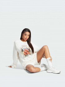 Худи и свитшоты Adidas Graphics модель IL2426-KZ Фото