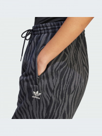 Брюки Adidas Graphics модель II0908-KZ Фото