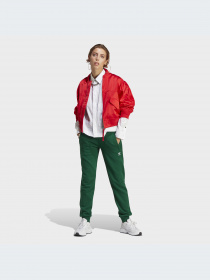 Брюки Adidas модель IA6480-KZ Фото