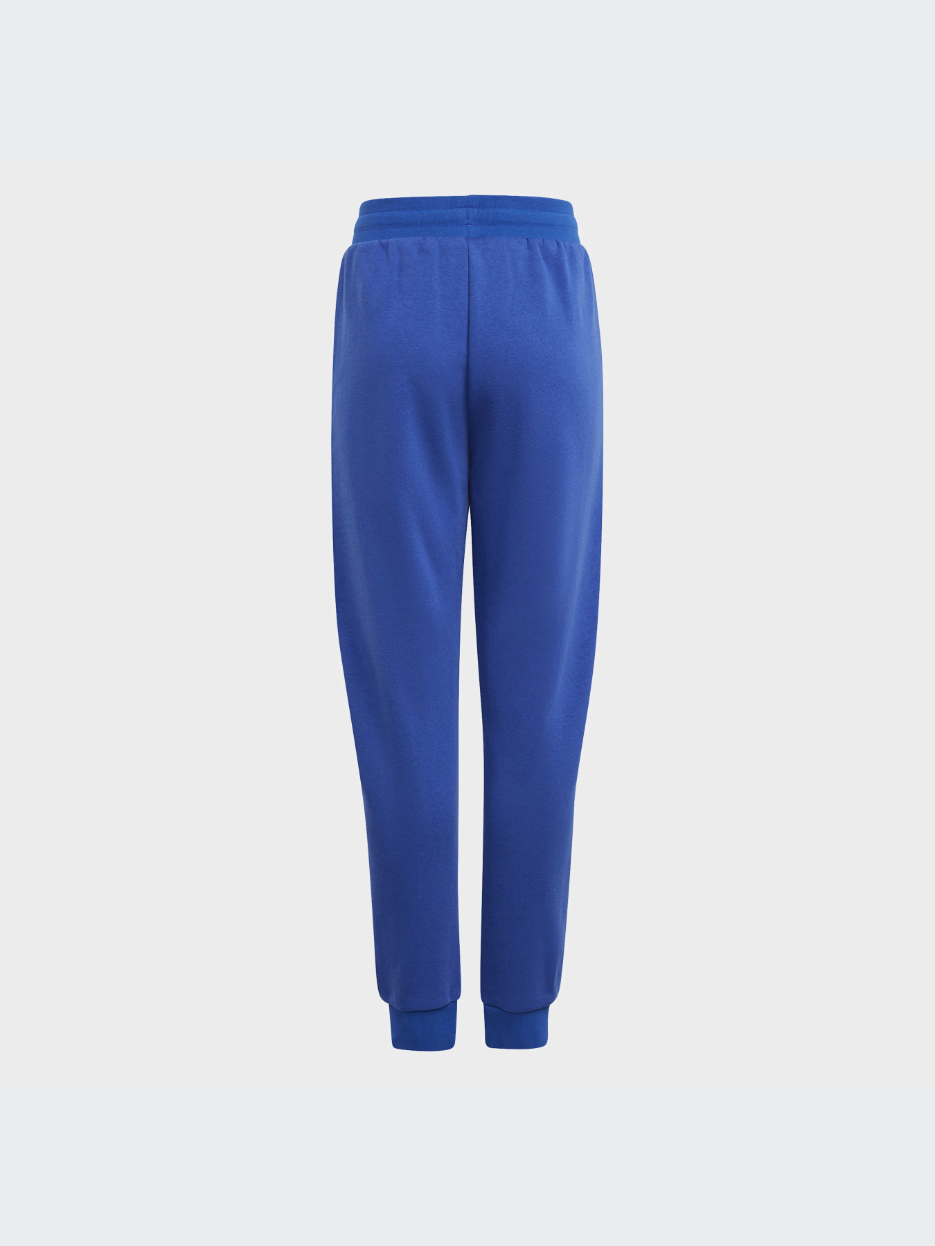 Брюки Adidas Trefoil модель IL0826-KZ Фото