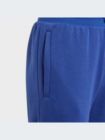 Брюки Adidas Trefoil модель IL0826-KZ Фото