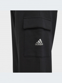 Брюки Adidas модель HR5821-KZ Фото