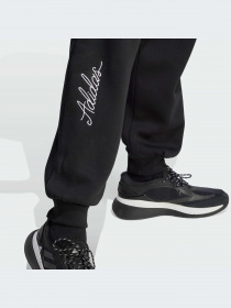 Брюки Adidas модель IJ8771-KZ Фото