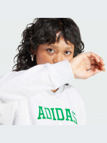 Худи и свитшоты Adidas модель II5612-KZ Фото