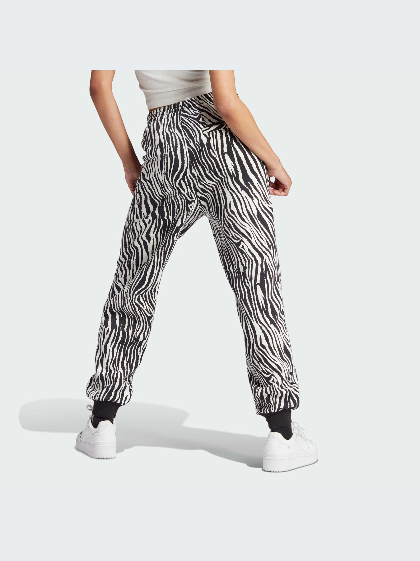 Брюки Adidas Graphics модель IJ7777-KZ Фото