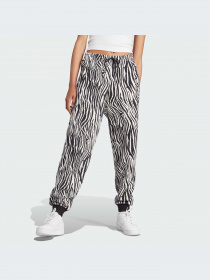 Брюки Adidas Graphics модель IJ7777-KZ Фото