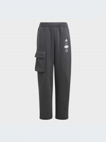 Брюки Adidas модель IB4016-KZ Фото