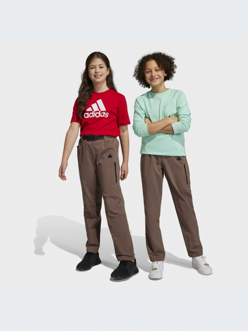 Брюки Adidas модель HR6373-KZ Фото