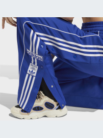 Брюки Adidas модель IC5586-KZ Фото