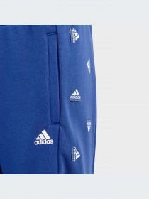 Брюки Adidas модель IB8728-KZ Фото