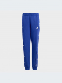 Брюки Adidas модель IB8728-KZ Фото