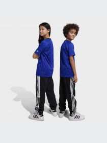 Брюки Adidas модель HR6334-KZ Фото