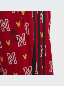 Брюки Adidas модель HR9500-KZ Фото