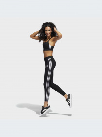 Брюки Adidas Adicolor модель HD2350-KZ Фото