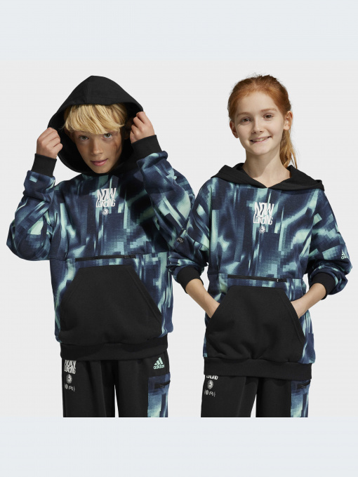 Худи и свитшоты Adidas модель HR6413-KZ Фото