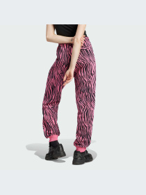 Брюки Adidas Graphics модель IJ7776-KZ Фото