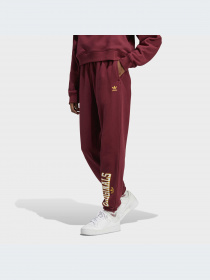 Брюки Adidas модель IC6035-KZ Фото