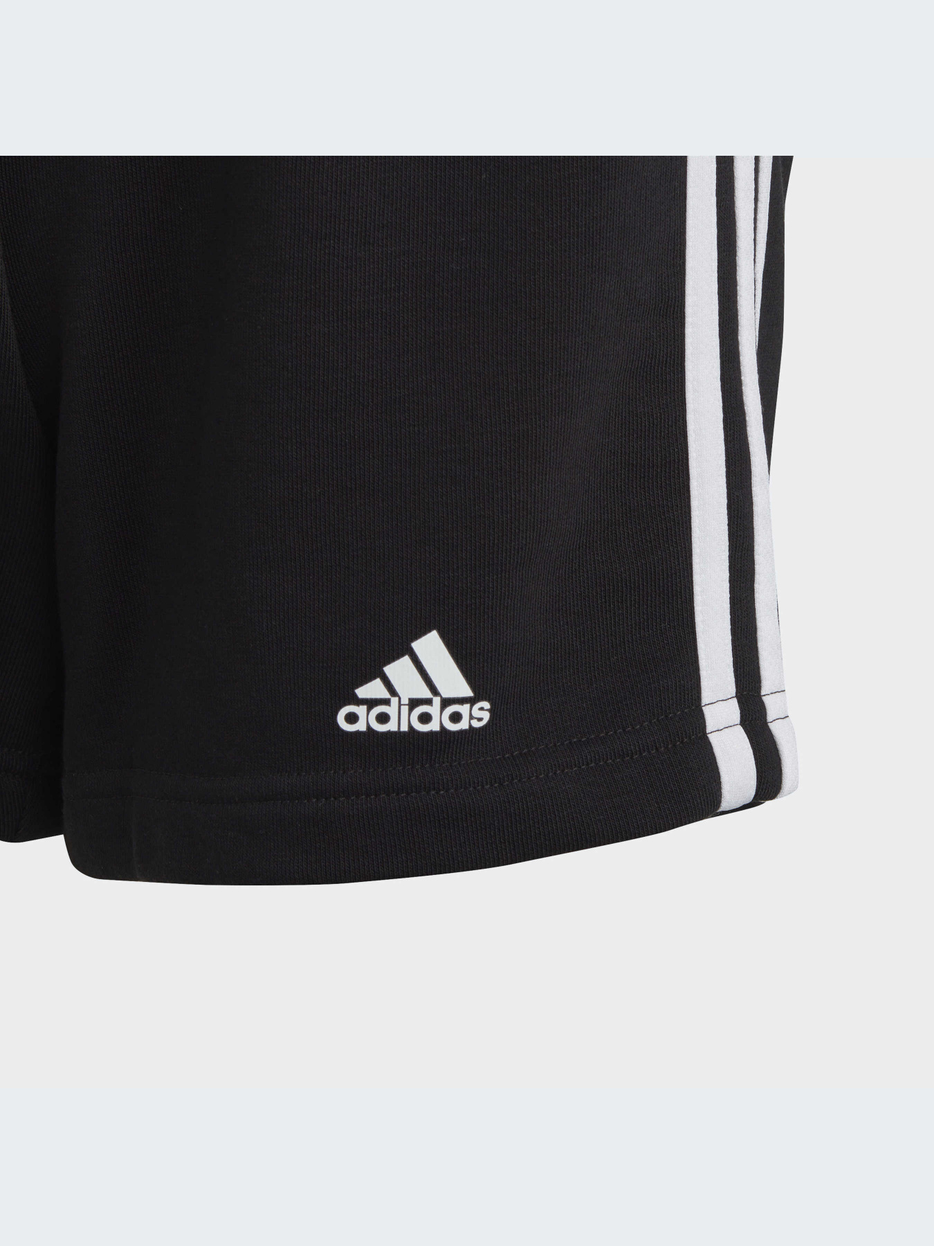 Шорты Adidas модель IC3631-KZ Фото