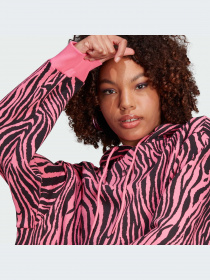 Худи и свитшоты Adidas Graphics модель IJ7775-KZ Фото