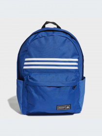 Рюкзактар Adidas үлгі HM9150-KZ Фото