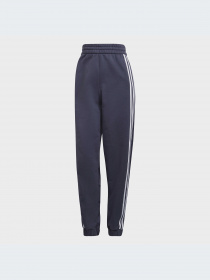 Брюки Adidas Adicolor модель HC4547-KZ Фото