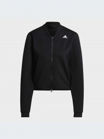 Худи и свитшоты Adidas Clima модель H59080-KZ Фото