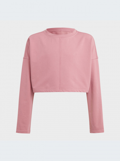 Худи и свитшоты Adidas модель IC0331-KZ Фото
