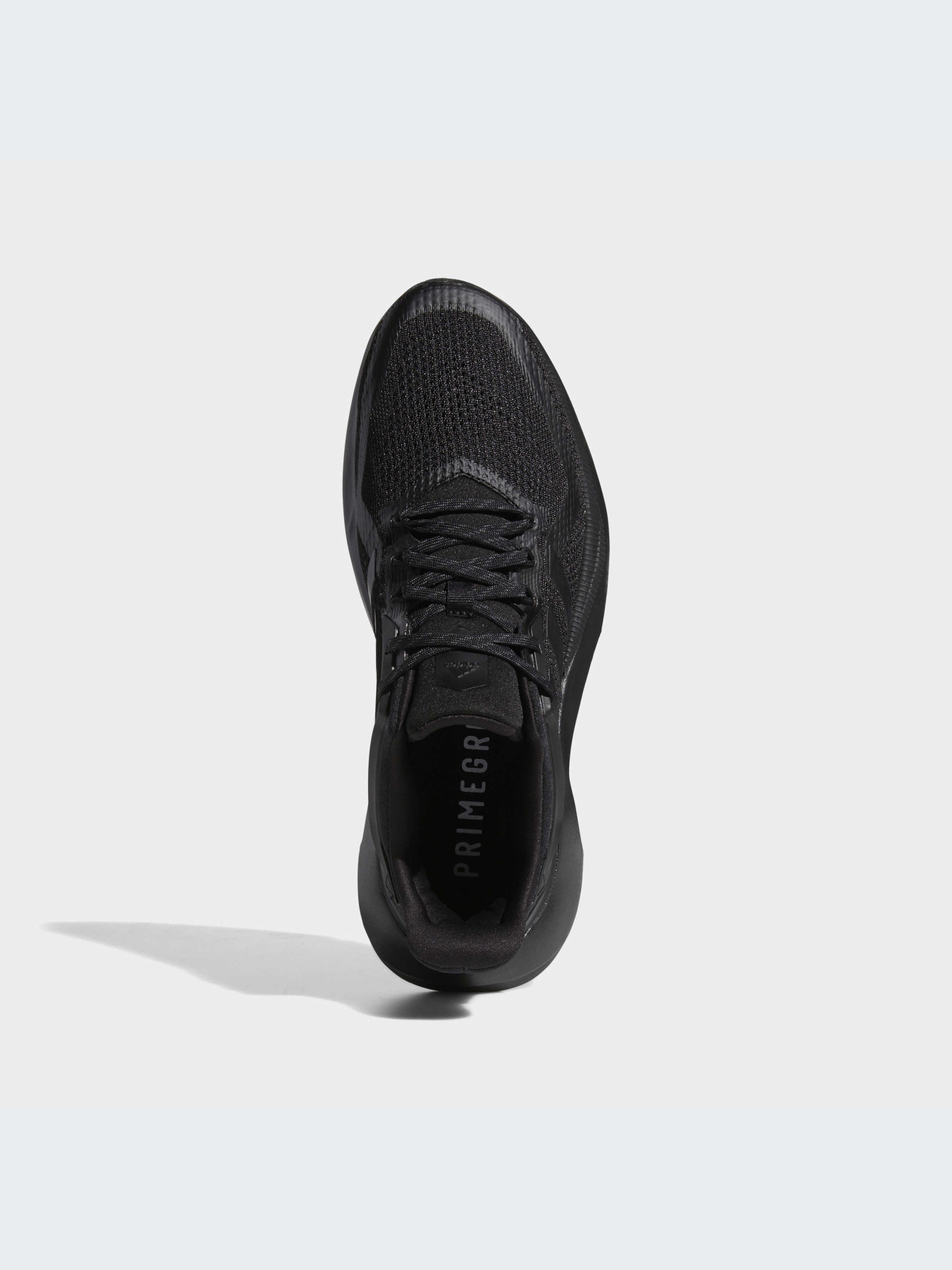 Кроссовки Adidas Alphatorsion модель GZ8744-KZ Фото
