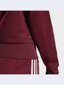 Худи и свитшоты Adidas Adicolor модель IB7406-KZ Фото
