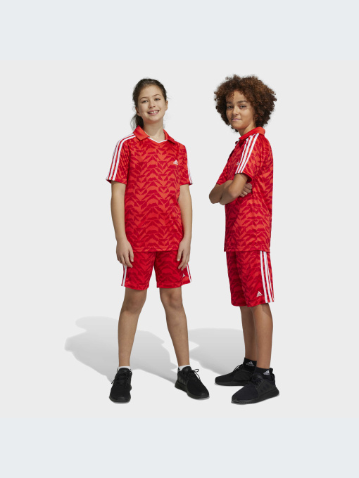 Шорты Adidas модель IC9995-KZ Фото