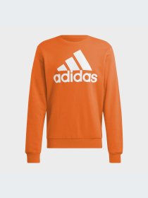 Худи и свитшоты Adidas модель HL2304-KZ Фото