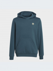 Худи и свитшоты Adidas Adicolor модель IJ9717-KZ Фото