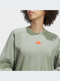 Худи и свитшоты Adidas модель IC0269-KZ Фото