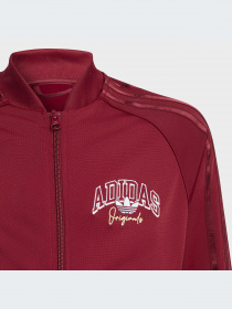 Спортивная одежда Adidas Graphics модель IJ0758-KZ Фото
