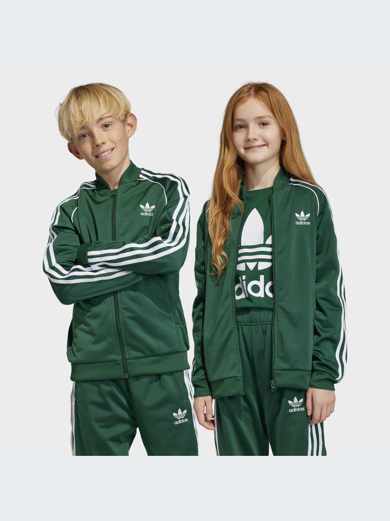 Худи и свитшоты Adidas Adicolor модель IC3061-KZ Фото