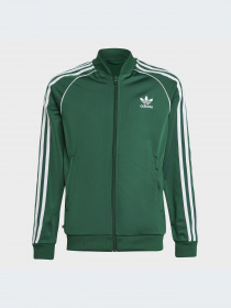 Худи и свитшоты Adidas Adicolor модель IC3061-KZ Фото
