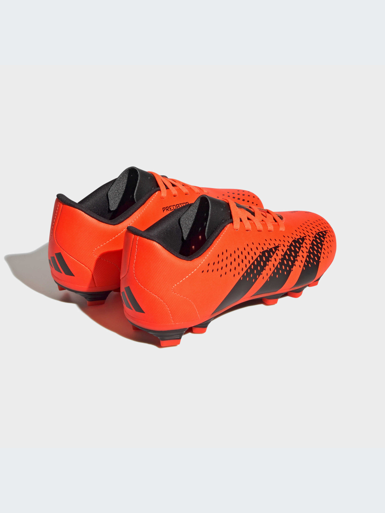 Кроссовки Adidas Predator модель HQ0951-KZ Фото