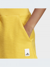 Шорты Adidas модель HZ1603-KZ Фото