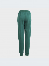 Брюки Adidas модель IA1553-KZ Фото