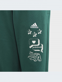 Брюки Adidas модель IA1553-KZ Фото