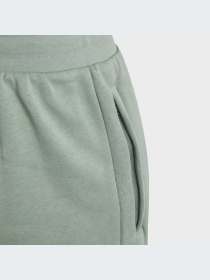 Брюки Adidas модель IC6135-KZ Фото