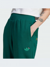 Брюки Adidas Graphics модель IK6568-KZ Фото