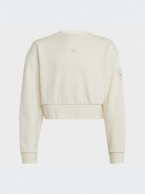 Худи и свитшоты Adidas Graphics модель IB8455-KZ Фото