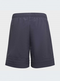 Шорты Adidas модель HE2085-KZ Фото