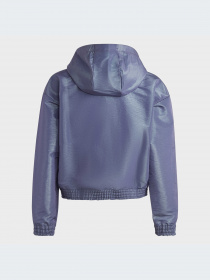 Худи и свитшоты Adidas модель HR5811-KZ Фото